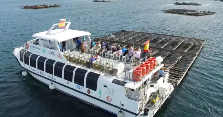 Desde Santiago: Tour a las Rías Baixas con excursión en barco y bodega