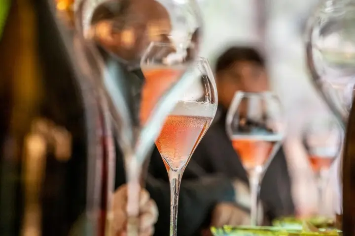 Penedès: Celler Kripta – Guided tour with wine tasting