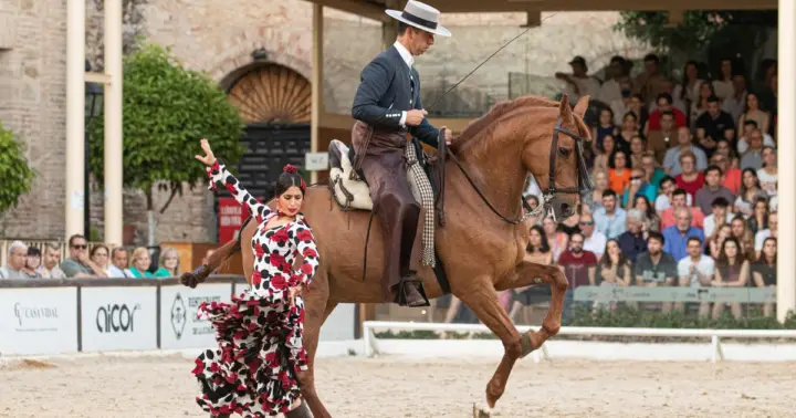Córdoba: entrada general al espectáculo ecuestre