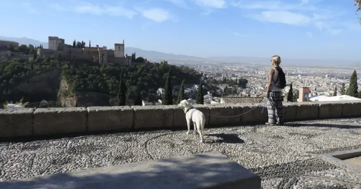 Granada: tour por el Albaicín y Sacromonte con tu perro
