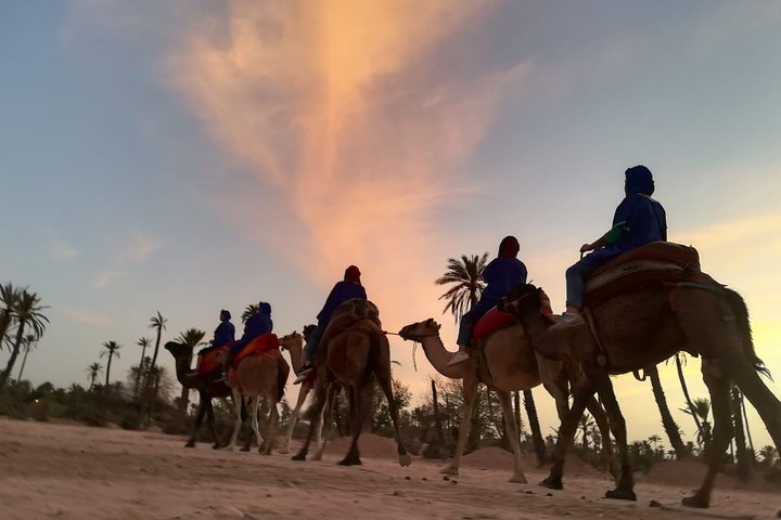 Paseo en camello al atardecer en Marrakech por el palmeral
