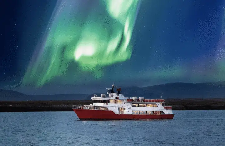 Reykjavík: Northern Lights Cruise
