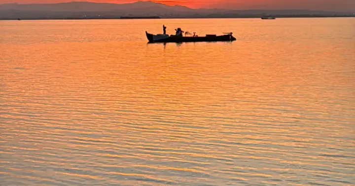 Albufera Valencia: Paseo guiado en barca eléctrica, también puesta de sol