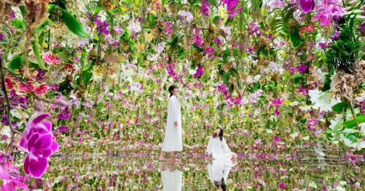 Tokio: teamLab Planets TOKYO Digital Art Museum Ticket de entrada
