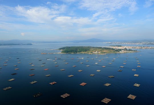 Excursión de día completo y paseo en barco a las Rías Baixas desde Santiago