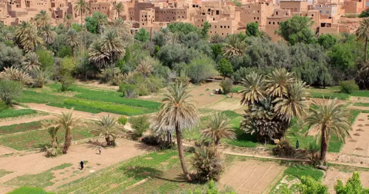 Tour de 7 días por el desierto desde Marrakech