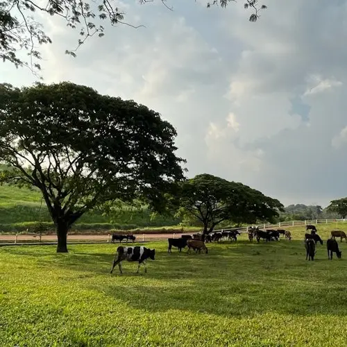 Granja UPM, Seri Kembangan, Selangor: Entrada para personas que no son de Malasia