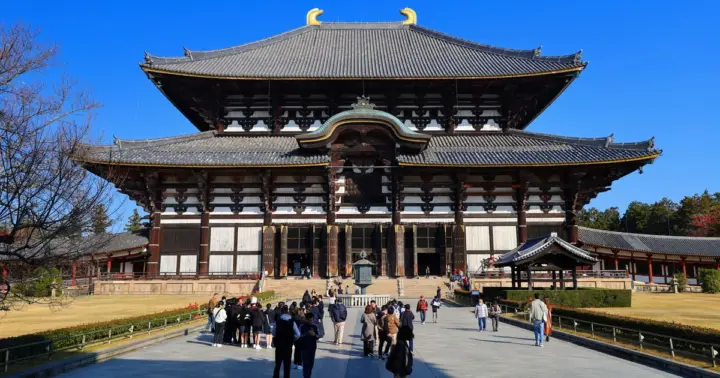 Kyoto: Nara & Traditional Matcha Experience Bus Tour