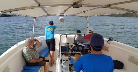 Excursión en 4x4 al Parque Natural del Delta del Ebro con paseo en barco