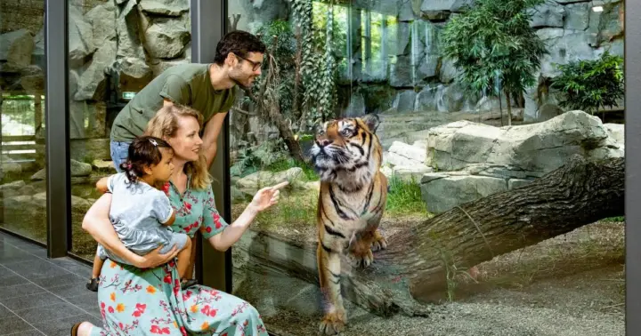 Berlín: entradas para el zoológico más grande de Europa