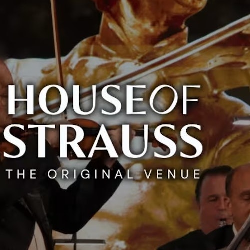 Casa de Strauss Viena: Concierto de Gala de Nochevieja + Cena