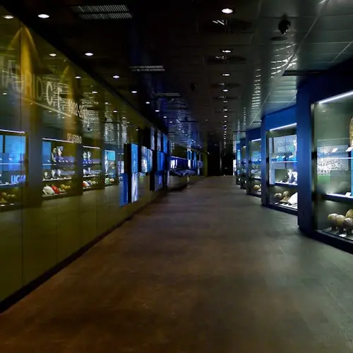 Madrid: Tour guiado de 1 hora con entrada al estadio Bernabéu