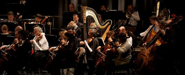Palacio Schönbrunn con cena y concierto