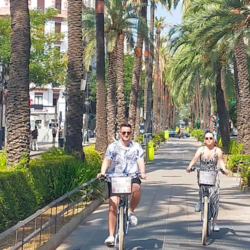 Valencia: Visita guiada en bicicleta