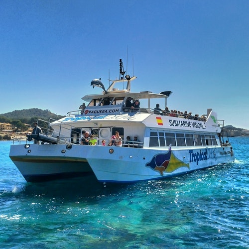 Palma de Mallorca: Crucero de 4 horas con fondo de cristal + Buffet