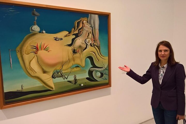 Tour privado Prado y Reina Sofía