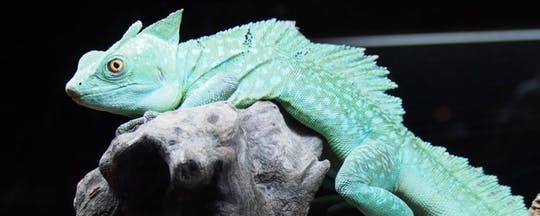 Terra Natura Zoo tickets