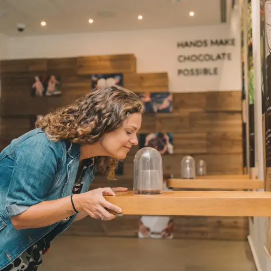 Oporto: Museo del Chocolate - Descubre los secretos del chocolate