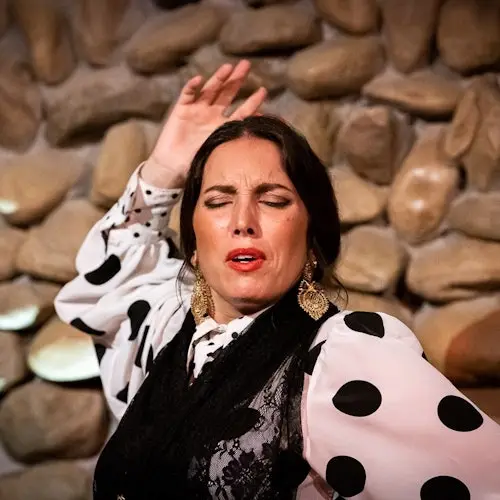 El Gallo Ronco Málaga: Espectáculo Flamenco