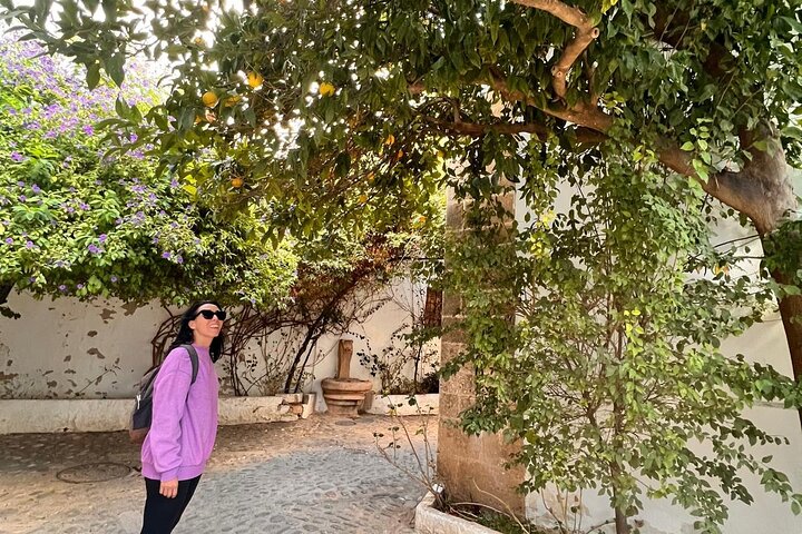 Recorrido privado por Ronda: la capital blanca