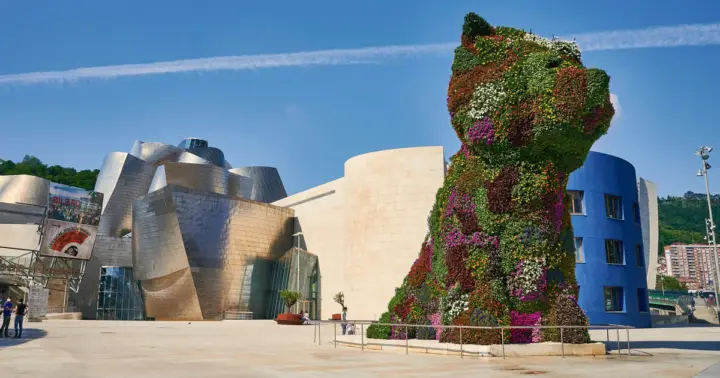 Visita guiada exterior y acceso Museo Guggenheim