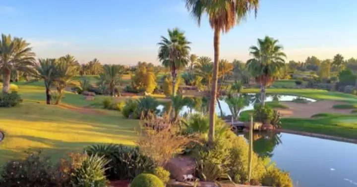 Marrakech: Hammam, Masaje y Experiencia Gastronómica