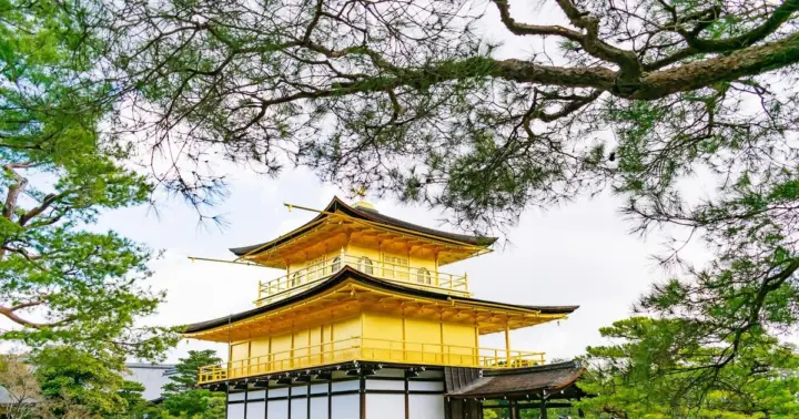 Desde Osaka: tour en autobús por Kioto: Nijo, Arashiyama y Fushimi Inari