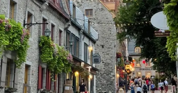 Quebec : Best Street Food Tour With A Local Guide