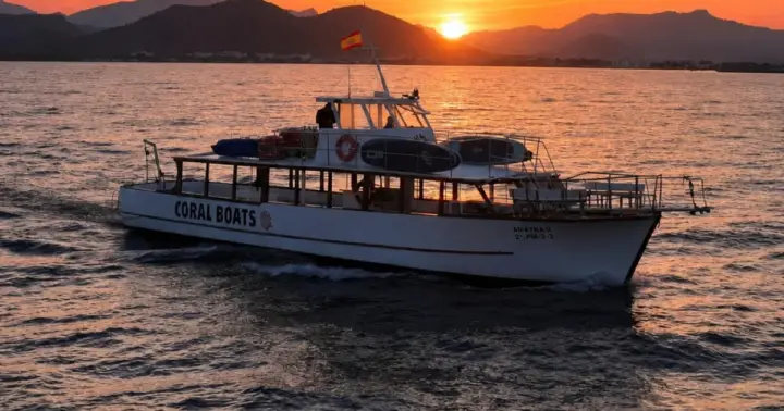 Alcúdia: paseo en barco al atardecer con tapas, surf de remo y esnórquel, grupo reducido