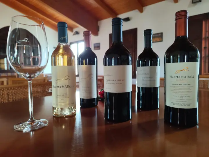 Arcos de la Frontera: Cata de Vinos "Taberner Experience" Huerta de Albalá