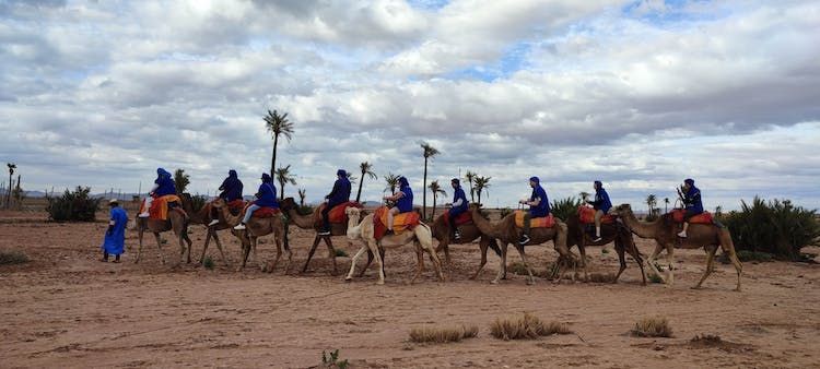 Paseo en camello por la Palmeraie desde Marrakech con pausa para el té