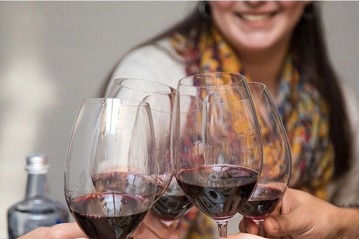 Experiencia de cata de vinos y tapas en Valencia