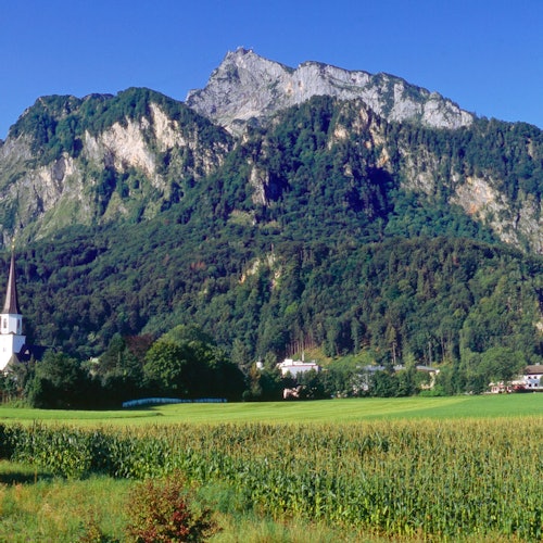 Salzburg, Hallstatt, Melk, Alps & Lakes: Guided Tour from Vienna