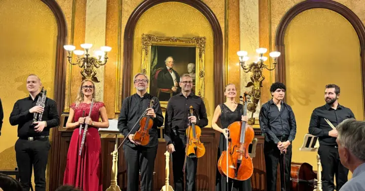 Viena: tour privado de música clásica, entrada al museo y concierto