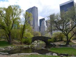Tour por el Alto y Bajo Manhattan