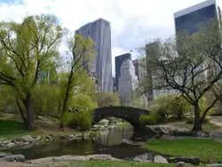 Tour por el Alto y Bajo Manhattan