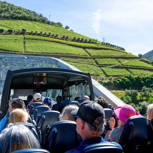 Valle del Duero, Amarante y Régua: Excursión de un día + paseo en barco y cata de vinos
