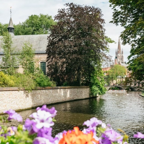 Brujas: Excursión guiada de un día desde Bruselas