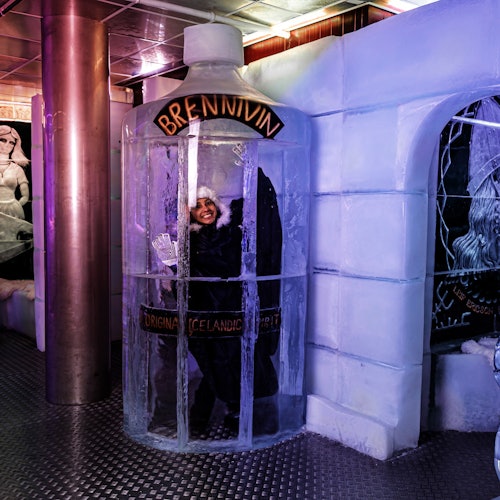 Magic Ice Bar Reykjavik: Entrada + Bebida de Autor