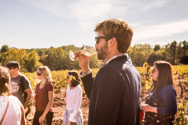 Excursión Premium de un día completo a Montserrat y el vino desde Barcelona