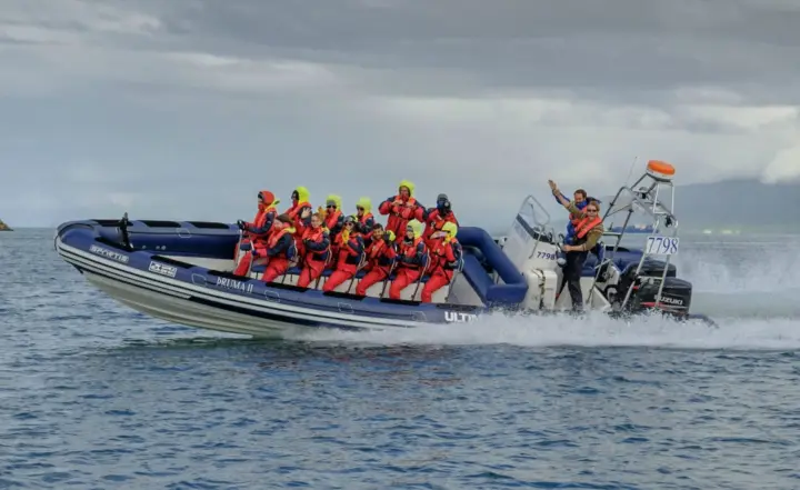 Reykjavik: Premium Whale Watching - Flexible