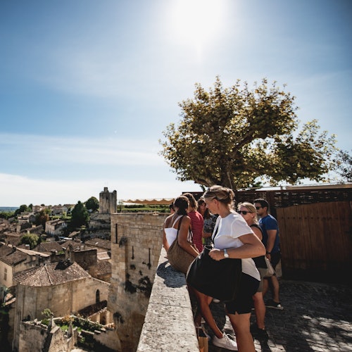 Saint-Emilion: Visita guiada con cata de vinos + almuerzo