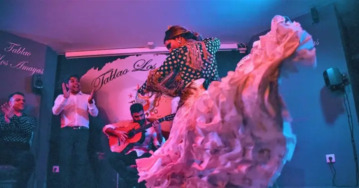 Málaga: Flamenco, Tapas y Ruta del Vino