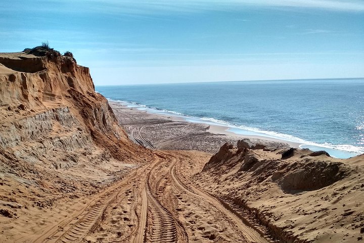 Parque Nacional de Donana y El Rocío : Visita guiada desde Sevilla