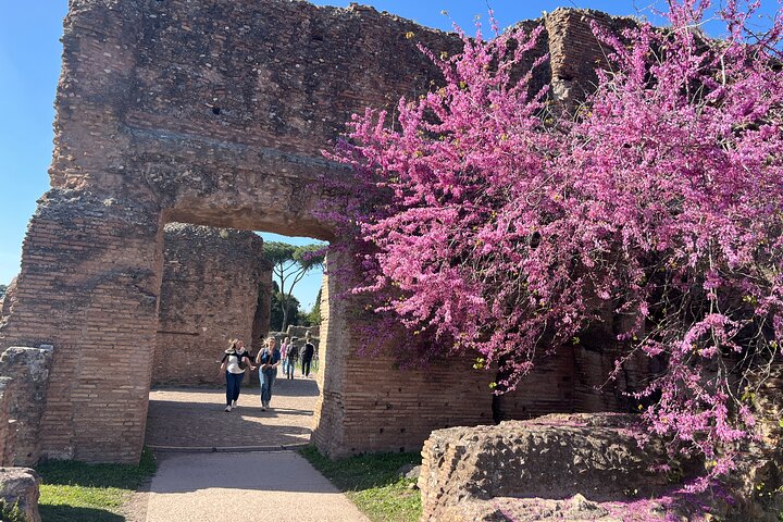 Opción de visita guiada al Coliseo o audioguía