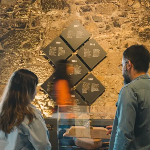 Bodega de Oporto Fonseca: visita guiada y cata + cena + espectáculo de fado