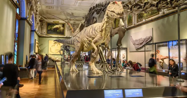Vienna: Ticket to the Museum of Natural History