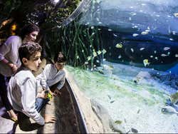 Entrada al Acuario de Sevilla