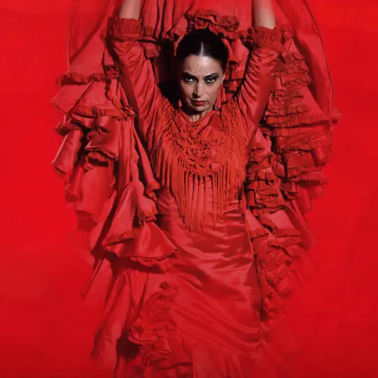 La Experiencia Premium en el Teatro Flamenco Málaga
