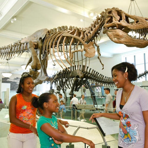 Go City New York Explorer Pass: Choose 2, 3, 4, 5, 6, or 7 Attractions